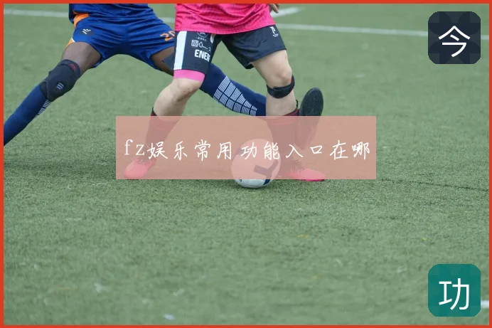fz娱乐常用功能入口在哪
